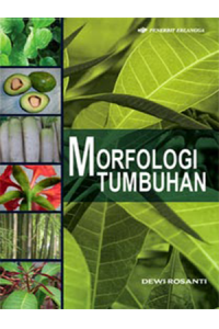 Morfologi tumbuhan